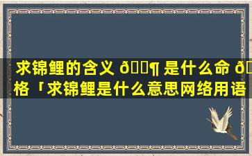 求锦鲤的含义 🐶 是什么命 🦋 格「求锦鲤是什么意思网络用语」